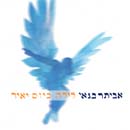 לילה כיום יאיר