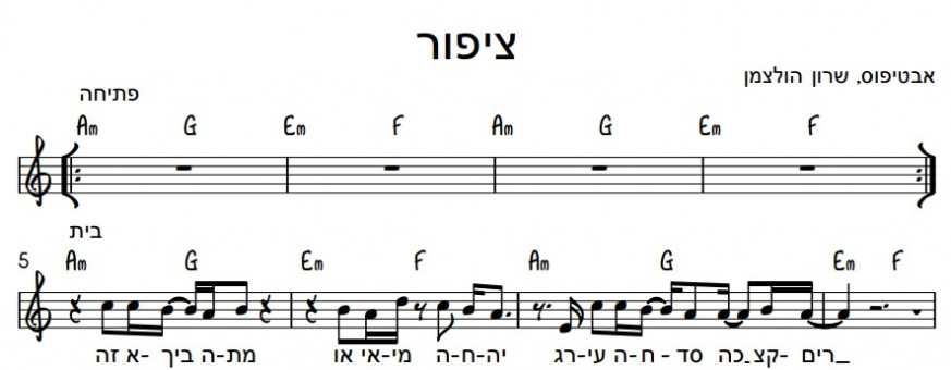 תווים אבטיפוס - ציפור